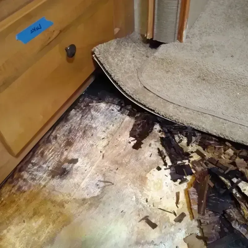 Wood Floor Water Damage in Albion, NY